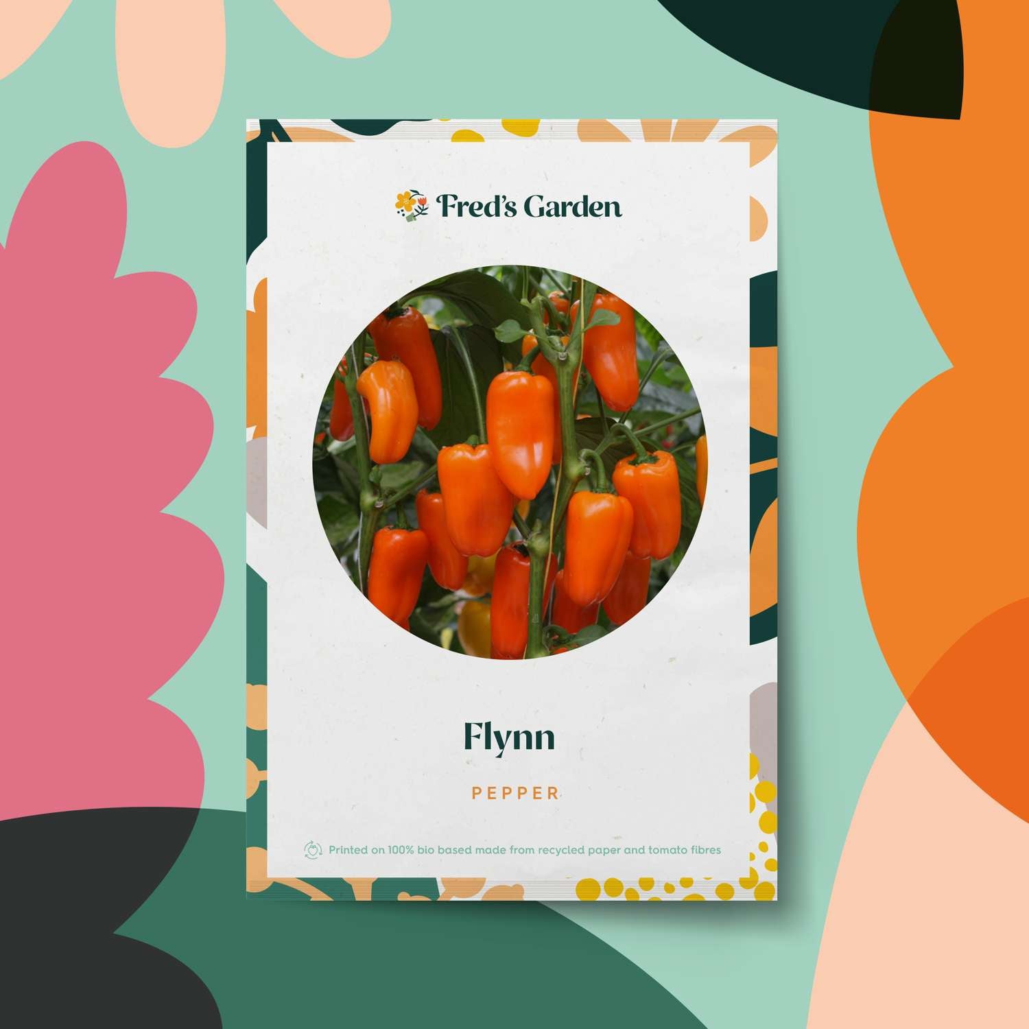 Paprika 'Flynn' (BIO Samen)